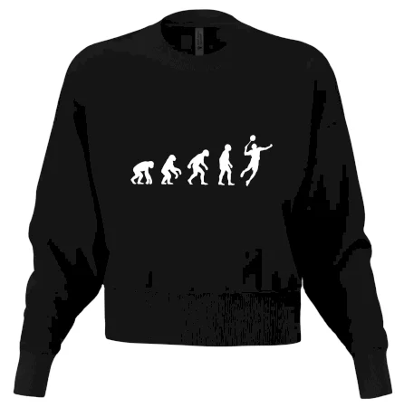 Evoluce Badminton