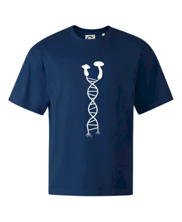 DNA houby
