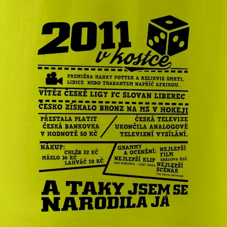 2011 v kostce