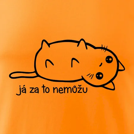 Já za to nemůžu