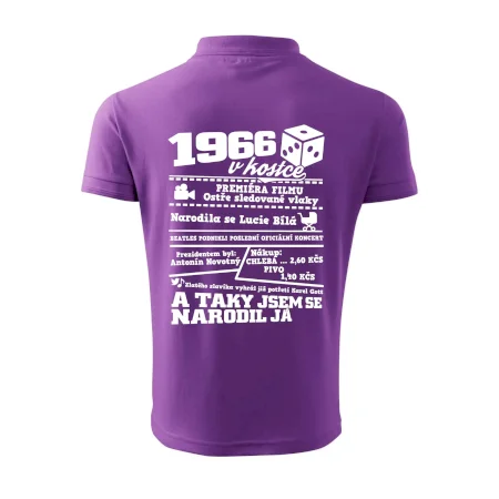 1966 v kostce