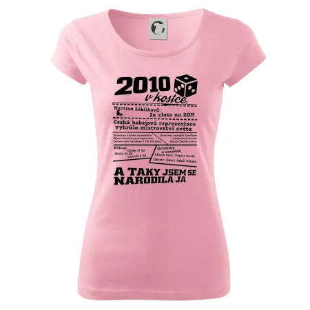 2010 v kostce