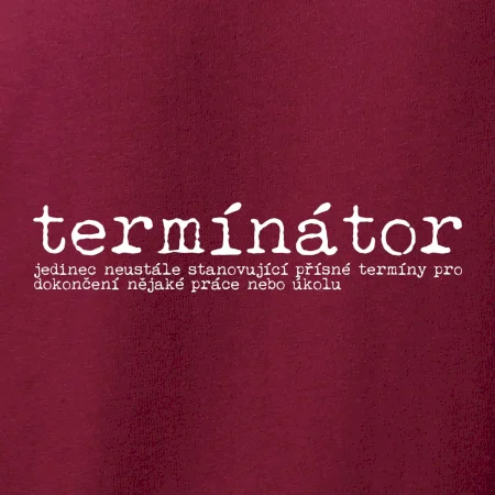 Čeština 2.0 - termínátor