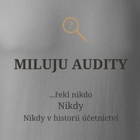 Miluju audity řekl nikdo nikdy