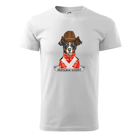 Napoleon domácí pes kříženec