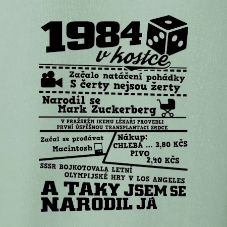 1984 v kostce