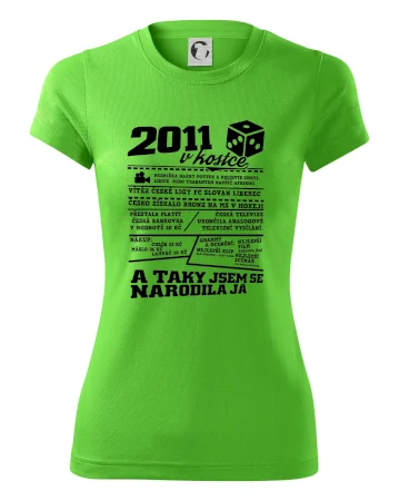 2011 v kostce