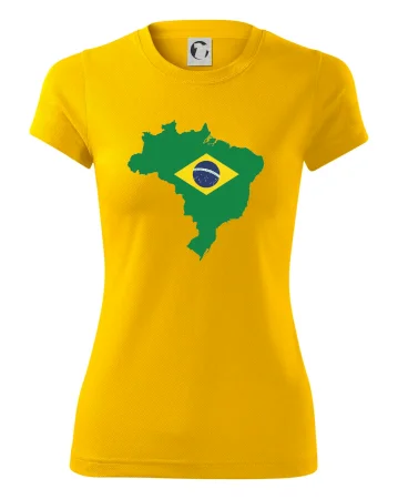 Brazílie vlajka v mapě
