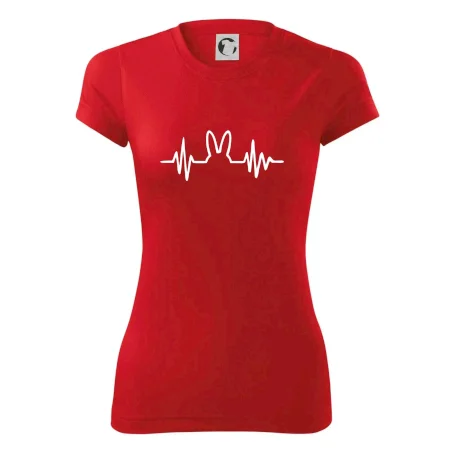 EKG zajíc