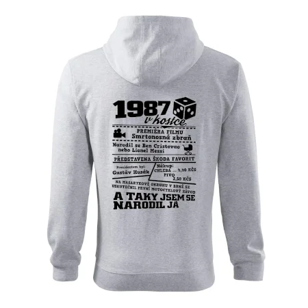 1987 v kostce