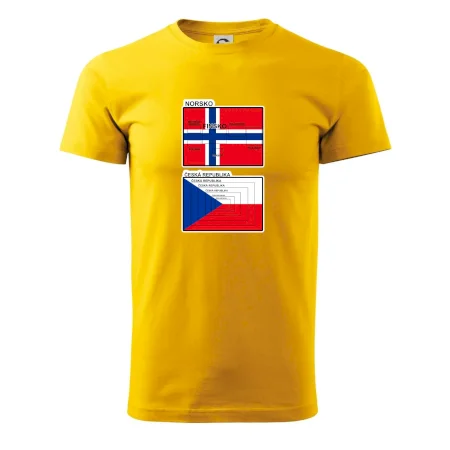 Norská a česká vlajka