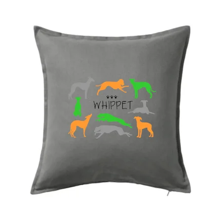 Whippet barevný