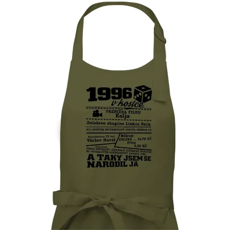 1996 v kostce
