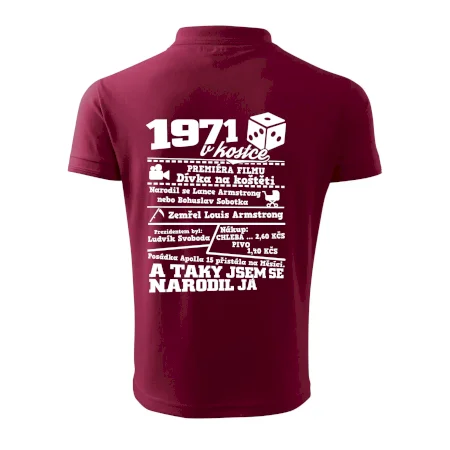 1971 v kostce