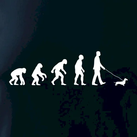 Jezevčík Evoluce muž / žena