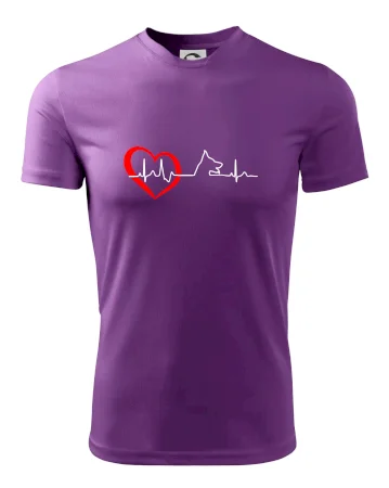 Německý ovčák ekg