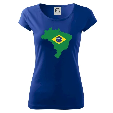 Brazílie vlajka v mapě