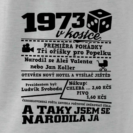 1973 v kostce