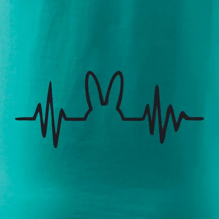 EKG zajíc