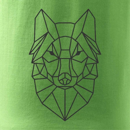 Geometrie - vlk