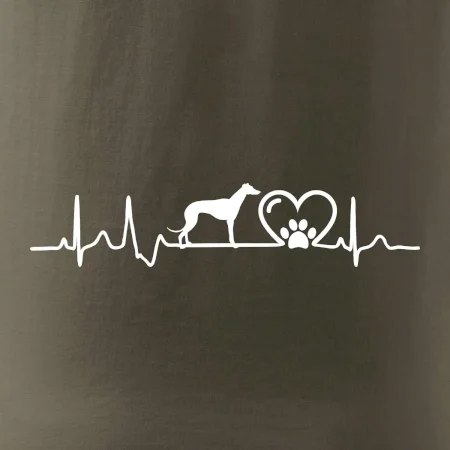 Chrt - Ekg