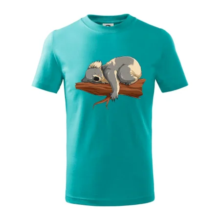 Koala na větvi