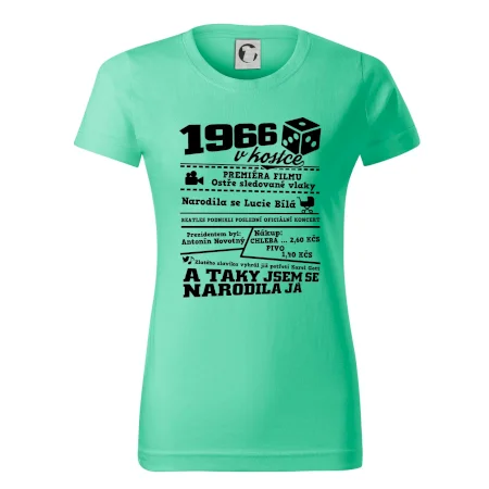1966 v kostce