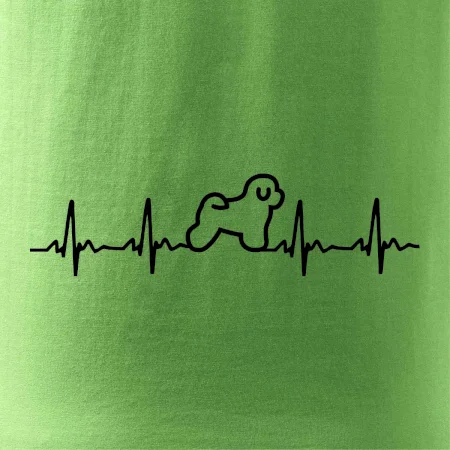 Bišonek ekg