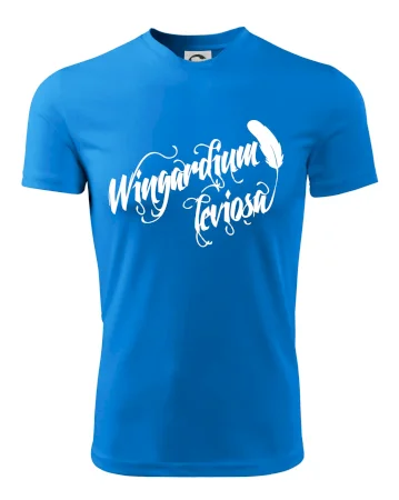 Harry - Wingardium Leviosa