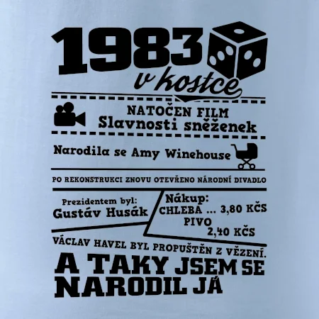 1983 v kostce
