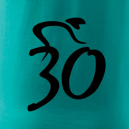 Cyklista slaví třicítku (30)