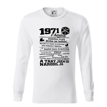 1971 v kostce