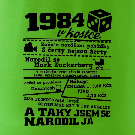 1984 v kostce