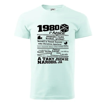 1980 v kostce