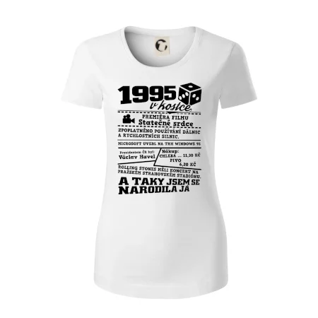 1995 v kostce