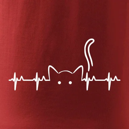 Kočka EKG