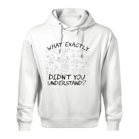 What exactly didnt you understand - physics