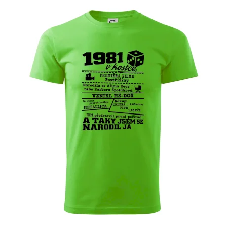1981 v kostce