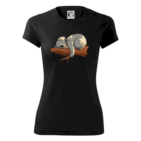 Koala na větvi