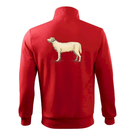 Vintage Labrador