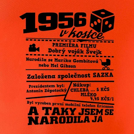 1956 v kostce