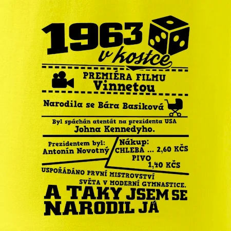 1963 v kostce