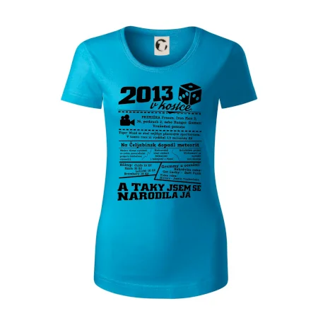 2013 v kostce