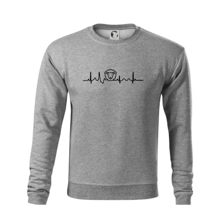 Ekg ovce