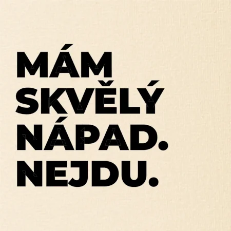 MÁM SKVĚLÝ NÁPAD. NEJDU.