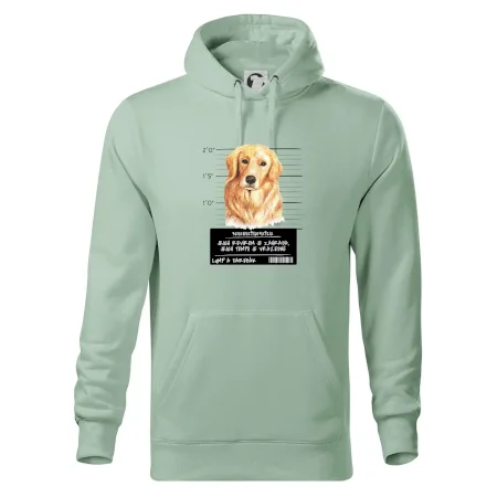 Lump a darebák zlatý retrívr