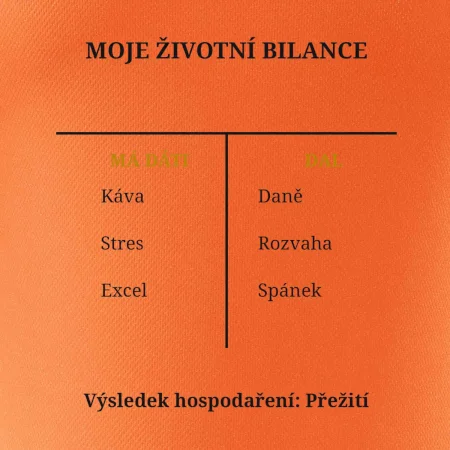 Moje životní bilance má dáti dal