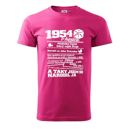 1954 v kostce