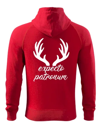 Harry - Expecto patronum