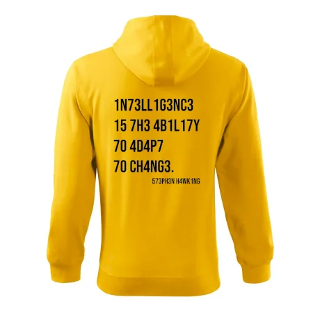 Test inteligence - Stephen Hawking